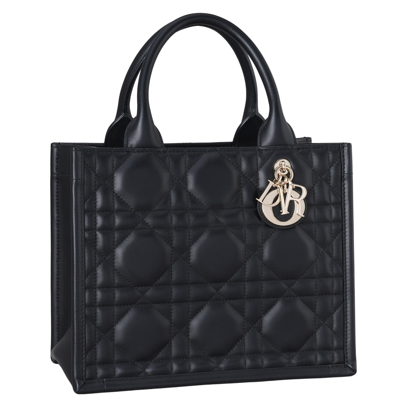CHRISTIAN DIOR(USED)크리스찬 디올 북토트 스몰